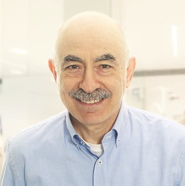 Lorente Achútegui, Pedro